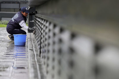 ¿Por qué crece la informalidad laboral de Perú? - MarketData