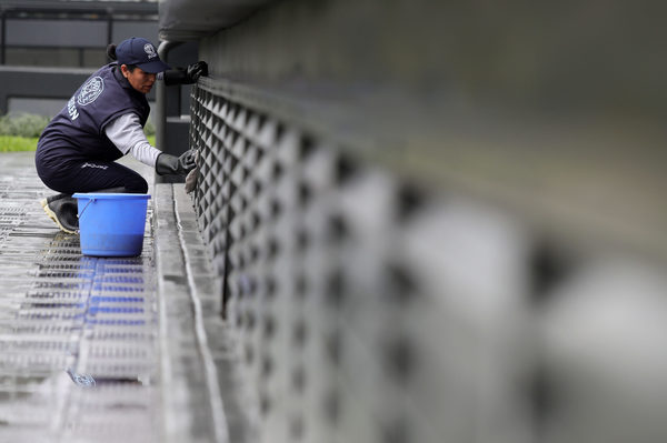 ¿Por qué crece la informalidad laboral de Perú? - MarketData