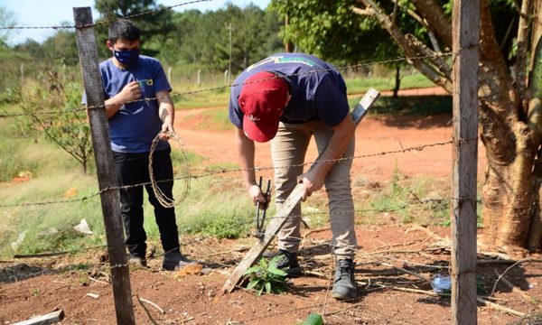 Muertos por Covid acelera inicio de obras en nuevo cementerio para Ciudad del Este – Diario TNPRESS