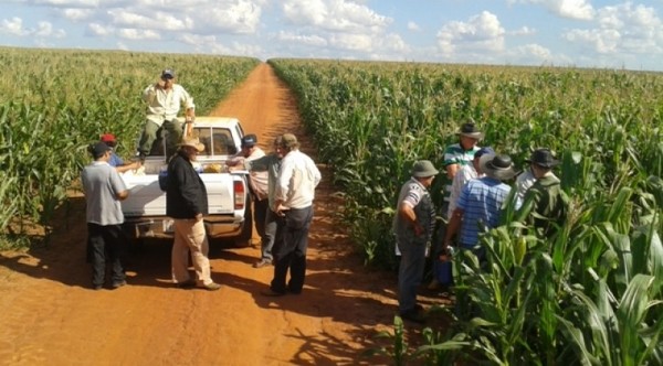 Descubren plan para invasiones de tierra en varios puntos del país - Megacadena — Últimas Noticias de Paraguay