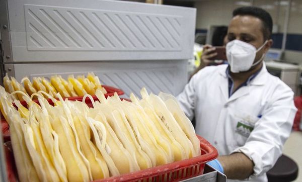 Plasma: Hay 50 donantes y 300 registrados en agenda para donación, confirman - A La Gran 7-30 - ABC Color