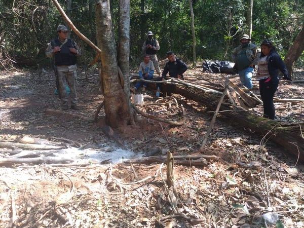 Constatan cultivos de marihuana en zona donde joven indígena fue asesinado - Nacionales - ABC Color