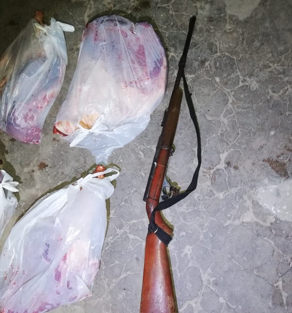 Decomisan 130 kilos de carne de animales silvestres en Ñeembucú » Ñanduti