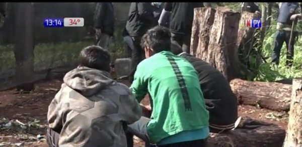 ¡Impotencia! Niños serían explotados en plantaciones de marihuana | Noticias Paraguay