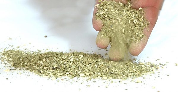 Venta de yerba mate movió US$ 103 millones en un año