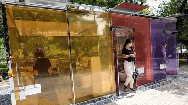 Crónica / Bajo control usan baños públicos transparentes