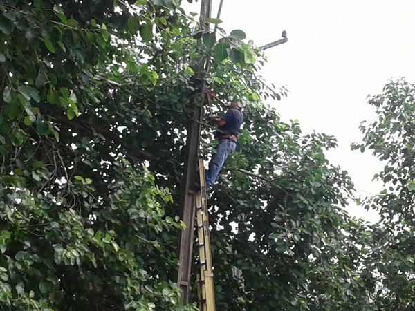 Parte del barrio Santa Librada estará sin energía eléctrica » San Lorenzo PY