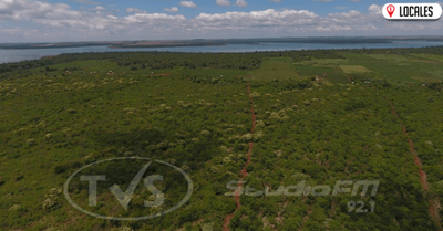 Legislación permite proteger bosques que en un 80% están en propiedades privadas