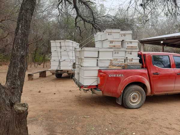 Acciones del MAG se visualizan en todo el país - Noticiero Paraguay