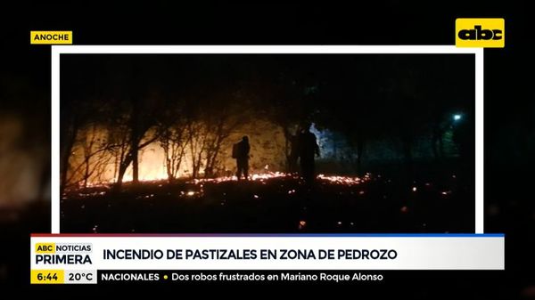 Incendio de pastizales en zona de Pedrozo - ABC Noticias - ABC Color