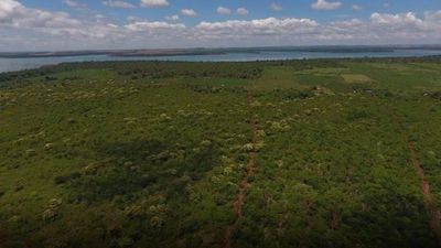Legislación permite proteger bosques que en un 80% están en propiedades privadas