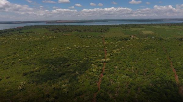 Legislación permite proteger bosques que en un 80% están en propiedades privadas