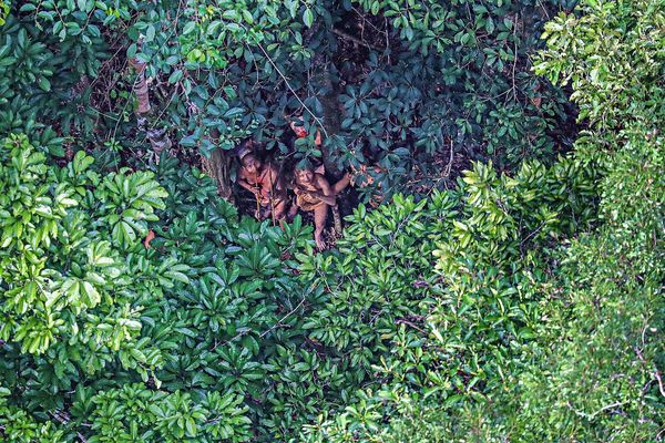 La extraordinaria visita de unos indígenas aislados a una remota aldea de Brasil - ADN Paraguayo