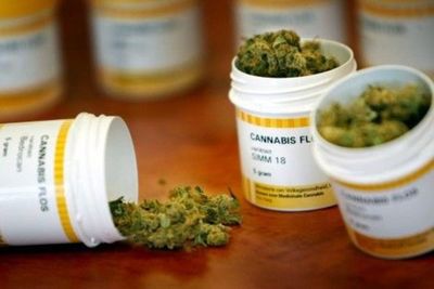 Ejecutivo decreta creación del Programa Nacional a favor del canabis medicinal, mientras está en vilo postura sobre autocultivo - Nacionales - ABC Color