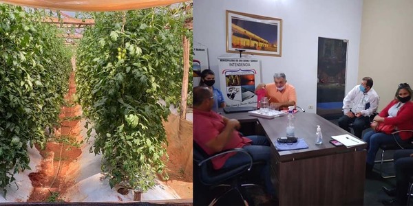 PROYECTOS PRODUCTIVOS EBY APOYARÁ A TRABAJADORES DEL CAMPO DE SAN COSME.