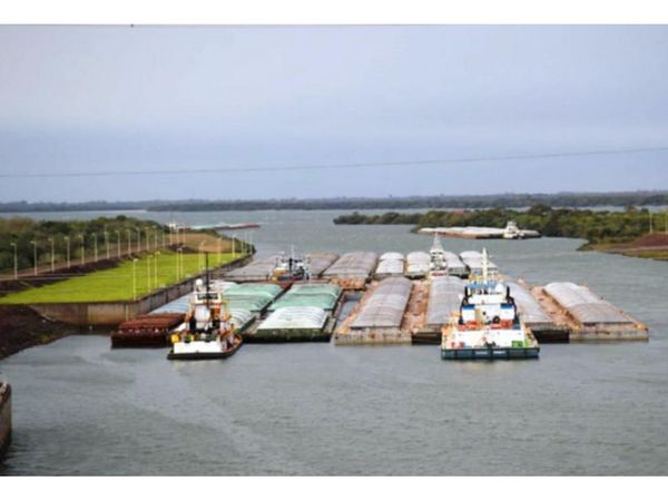 Salen por el Paraná otras 50.000 ton. de soja en granos