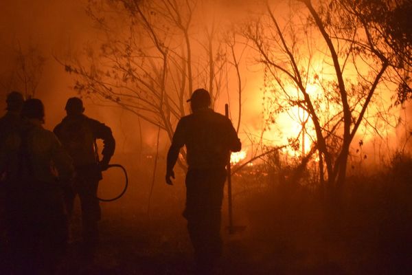WWF alerta que los incendios forestales podrían ser peores que en el 2019