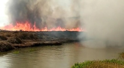 Incendios en Paraguay: Hectáreas impactadas en 2019 y la alerta mundial para lo que resta del 2020 - Megacadena — Últimas Noticias de Paraguay