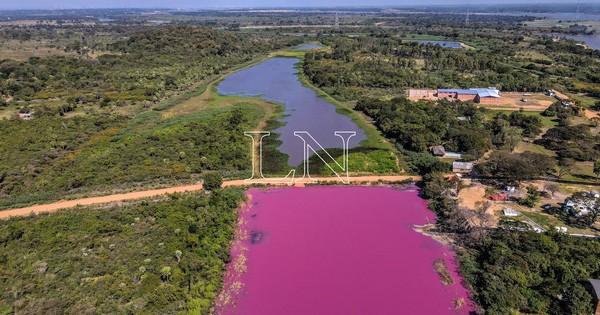 La Nación / Verifican empresa WalTrading SA por arrojar supuestamente desperdicios a laguna Cerro