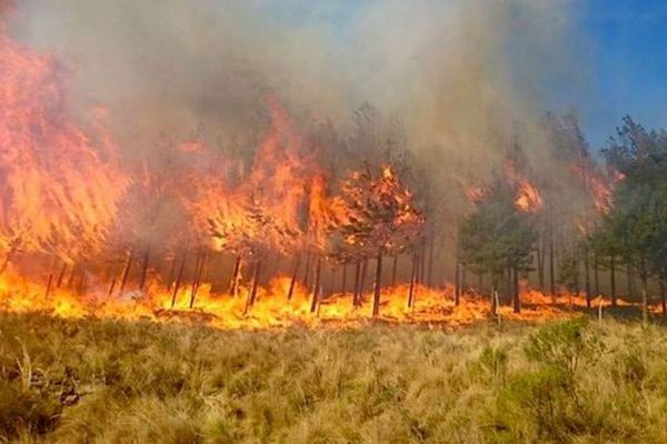 Temporada de incendios provocados: detectan alrededor de 3 mil focos - ADN Paraguayo
