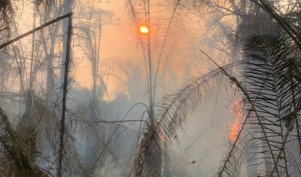 Los humedales se están quemando en América del Sur y los agricultores tienen la culpa