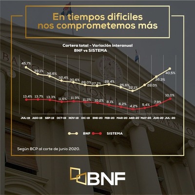 BNF lidera apoyo a la recuperación económica del país durante la pandemia - El Trueno