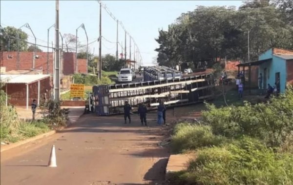 Pedro Juan: Camión que transportaba casi 50 ganados vuelca | Noticias Paraguay