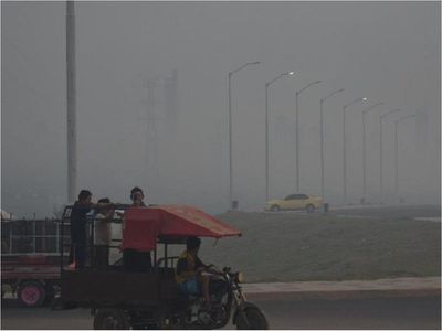 Incendio en la Costanera de Asunción, no descartan que haya sido intencional