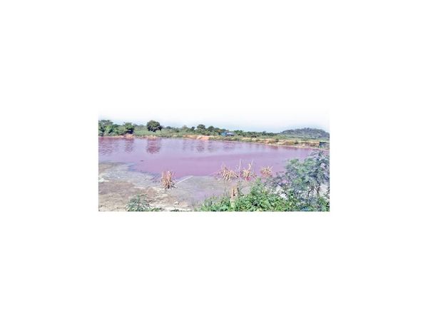 La incansable pobladora que dirige la defensa de laguna en Piquete Cué