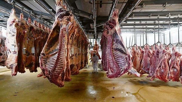 Argentina: prevén un récord histórico de exportación de carne bovina en 2020