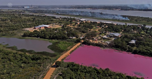 La Nación / Laguna Cerro: Resultados alentadores de pruebas del plan para remediación