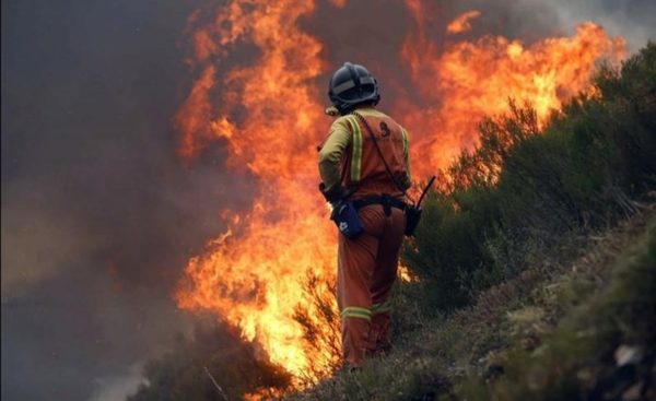 ¡Basta de quemar! Piden estricto cumplimiento de la ley para prevención de incendios | Noticias Paraguay