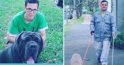 La Nación / Paseos perrunos para los pet lovers
