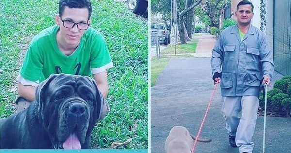 La Nación / Paseos perrunos para los pet lovers