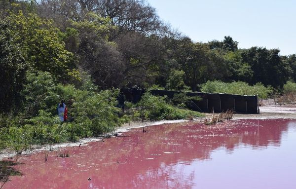 Laguna Cerro: positivos avances en  recuperación - Nacionales - ABC Color