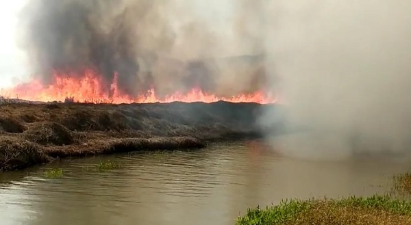 Titular de la SEN lamenta inconsciencia de gente que provoca incendios - Megacadena — Últimas Noticias de Paraguay
