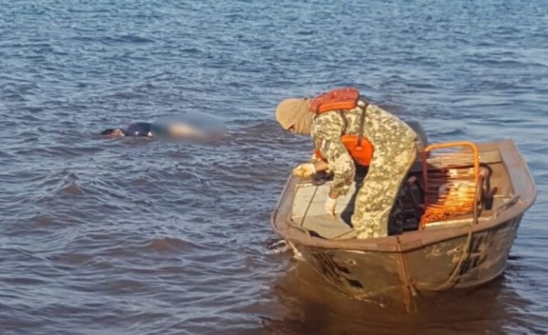 Marinos hallan el cuerpo de un ahogado en orillas del Lago Itaipu