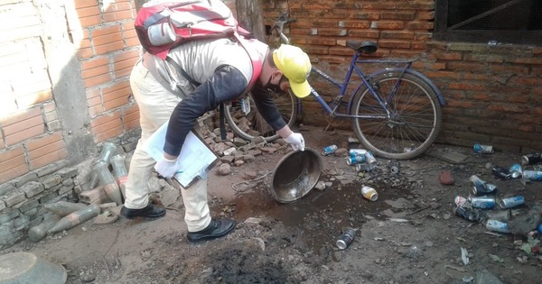 Al coronavirus se suma el dengue: San Lorenzo encabeza los casos