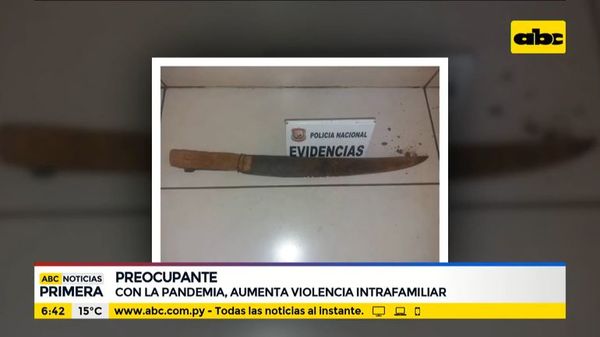 La pandemia de la violencia intrafamiliar - ABC Noticias - ABC Color
