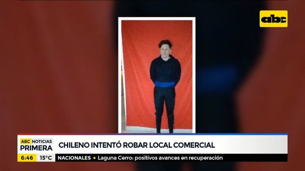 Chileno detenido tras intentar robar local comercial - ABC Noticias - ABC Color