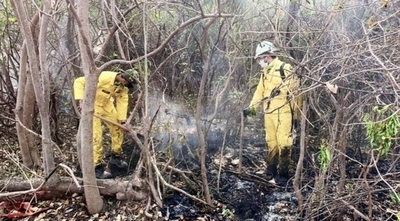 HOY / Pandemia, incendios forestales y en las puertas otra epidemia de dengue, advierten