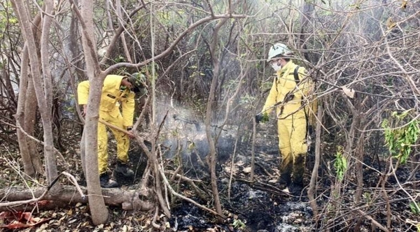 HOY / Pandemia, incendios forestales y en las puertas otra epidemia de dengue, advierten