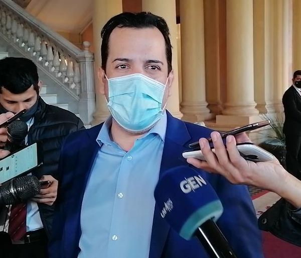 Friedmann compró auto, viaje y obras de arte con dinero de firma que ganaba licitaciones, dice fiscal - Nacionales - ABC Color