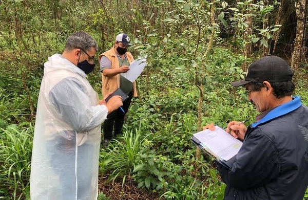 HOY / Capacitaron a agricultores indígenas en la producción de yerba mate