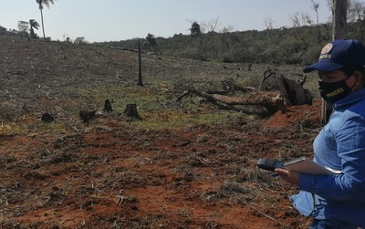 Canindeyú: Intervienen una propiedad privada por desmonte » Ñanduti