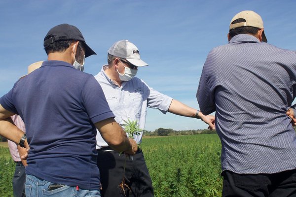 Agricultores sobre Moisés Santiago Bertoni: “Fue una excelente designación”