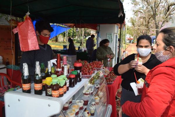 Ofrecen delicias de Areguá en plaza de Encarnación - Nacionales - ABC Color