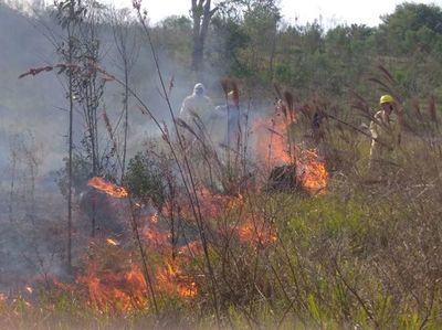 Incendio en simultáneo en Minga Guazú, moviliza a Bomberos Voluntarios  - ABC en el Este - ABC Color