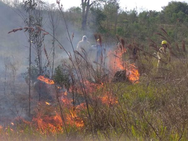 Incendio en simultáneo en Minga Guazú, moviliza a Bomberos Voluntarios - ABC en el Este - ABC Color