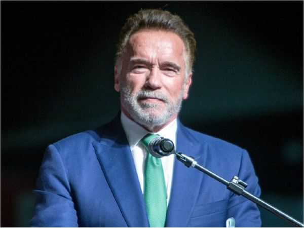 Arnold Schwarzenegger debutará en televisión con una serie de acción